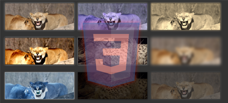 Efectos con hover y transition en CSS (parte 2) -Filtros-