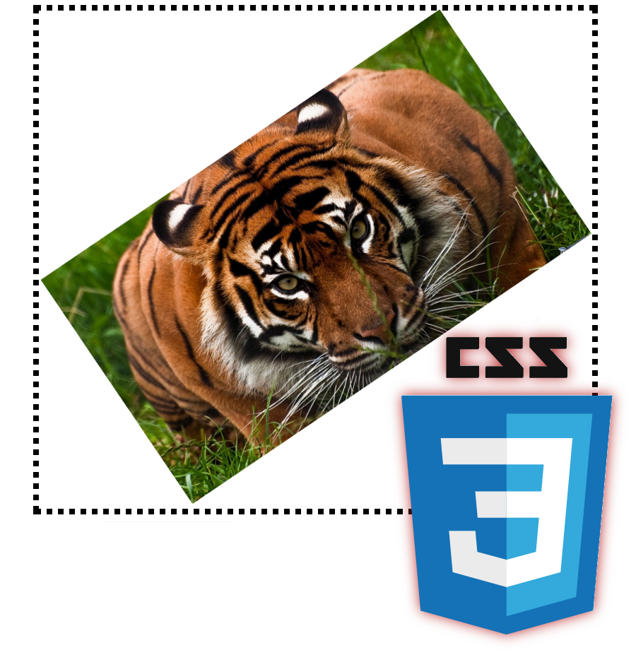 La propiedad object-fit en CSS para ajustar imágenes con CSS