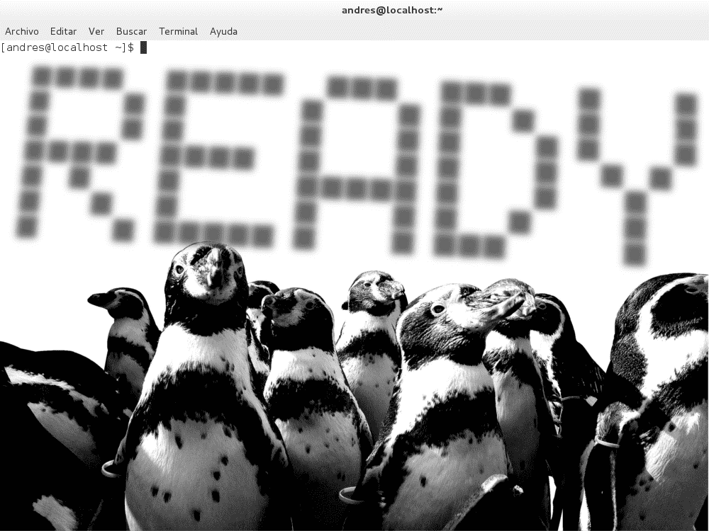 ¿Cómo ejecutar comandos o scripts de terminal al iniciar Linux?