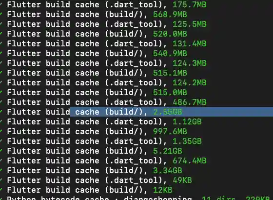 Clear Flutter cache