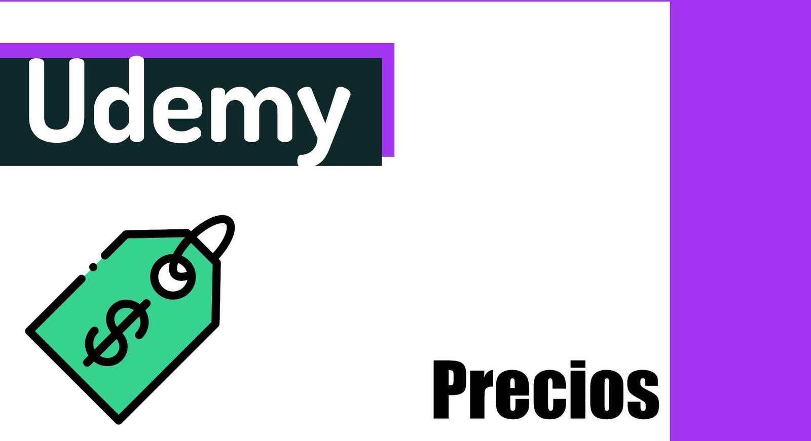 Prices on udemy don't make sense...