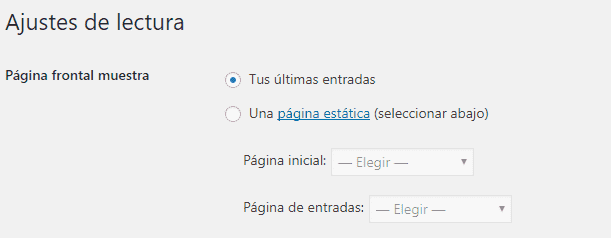 ajustes lectura wordpress