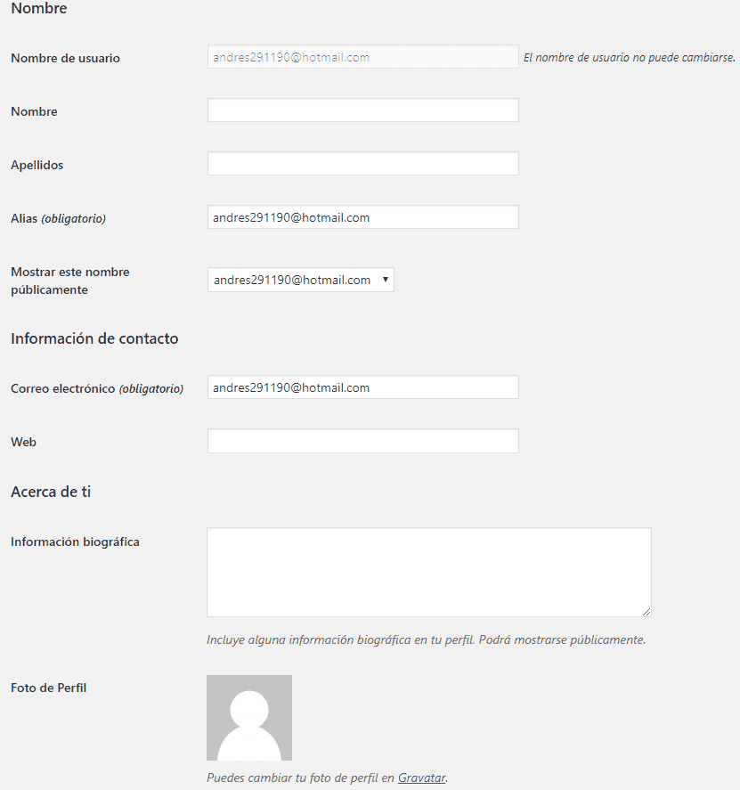 datos básicos edición wordpress