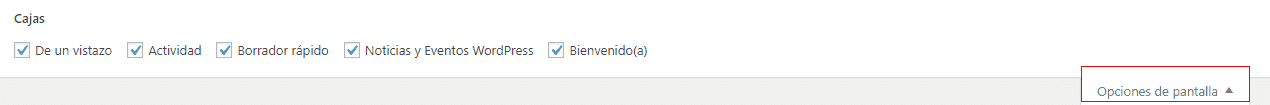 opciones pantalla de wordpress